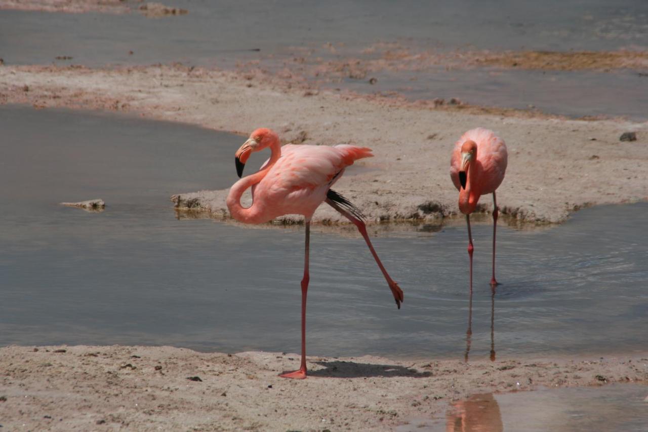 House - B&B Puerto Villamil