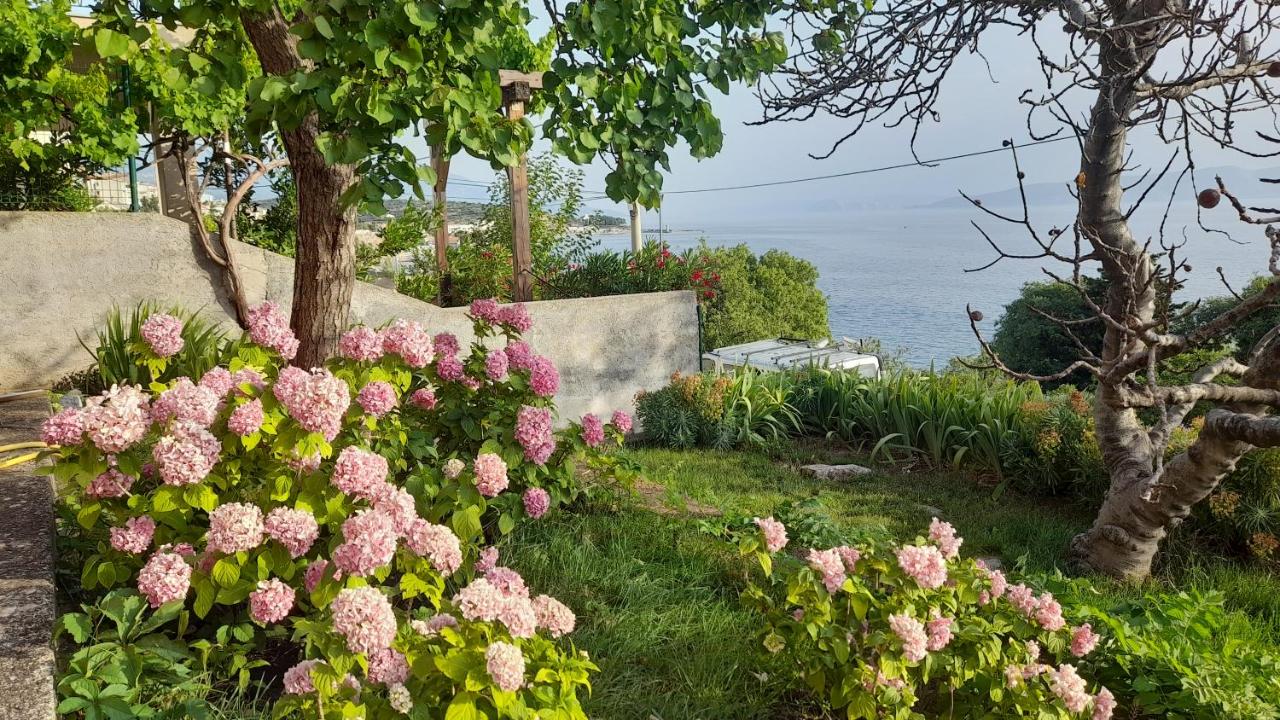Apartments Mare Croatia - B&B
