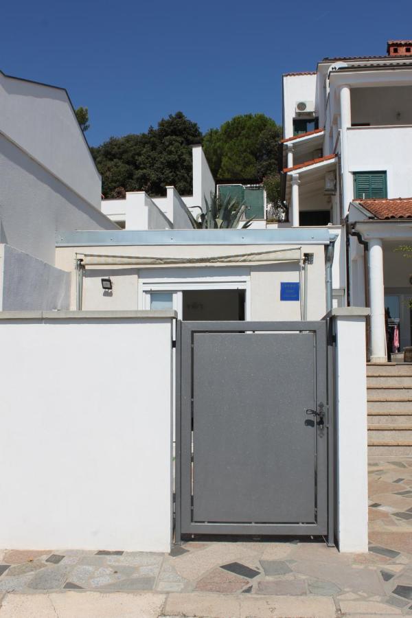 Studio with Terrace