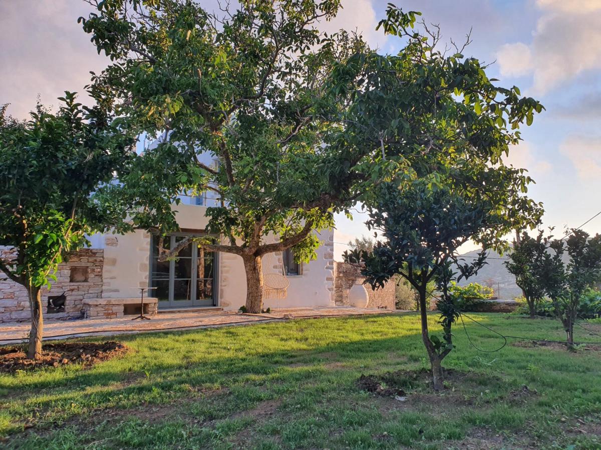 B&B Chalkeío - TRADITIONAL HOUSE AT KALOXILOS NAXOS - Bed and Breakfast Chalkeío