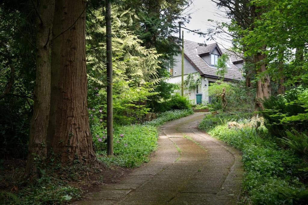 The Loft at Ash Beacon - Gorgeous 2 bed, hideaway in lovely private grounds - B&B Axminster