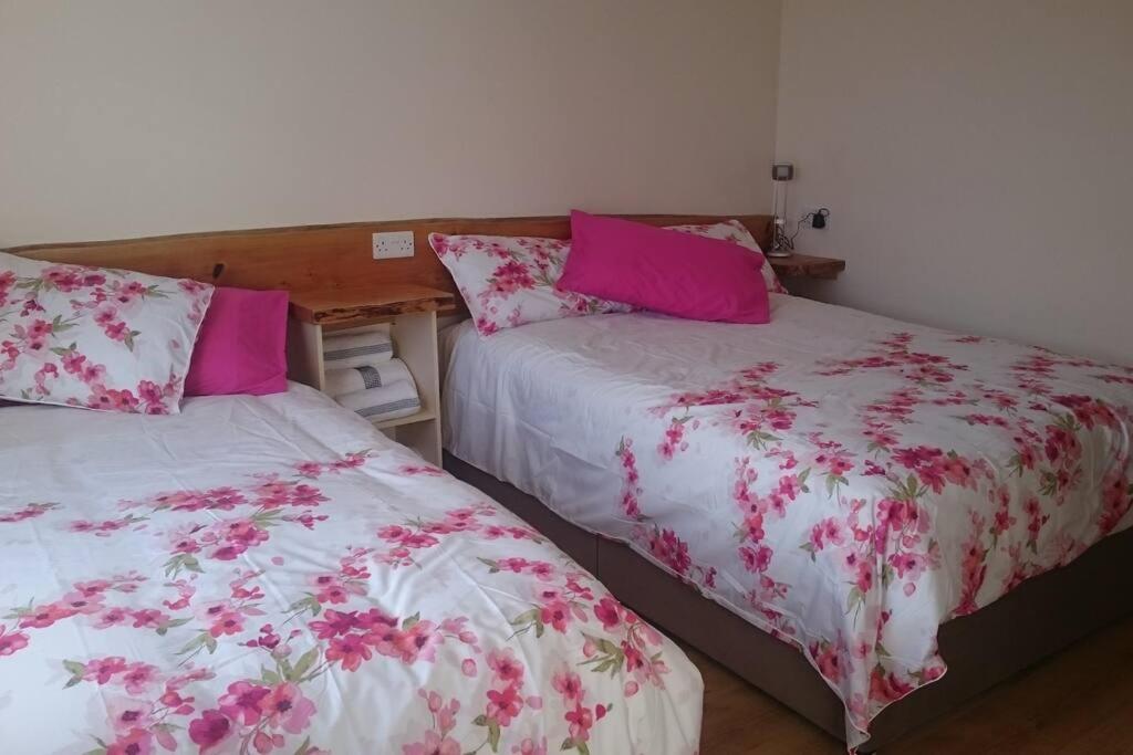 B&B Portmagee - Skellig View Bluebell Rose & The Kerry Cliffs - Bed and Breakfast Portmagee