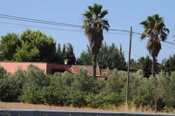A 6 km da Porto Cesareo, la casa del carrubo - Chambres d’hôtes
