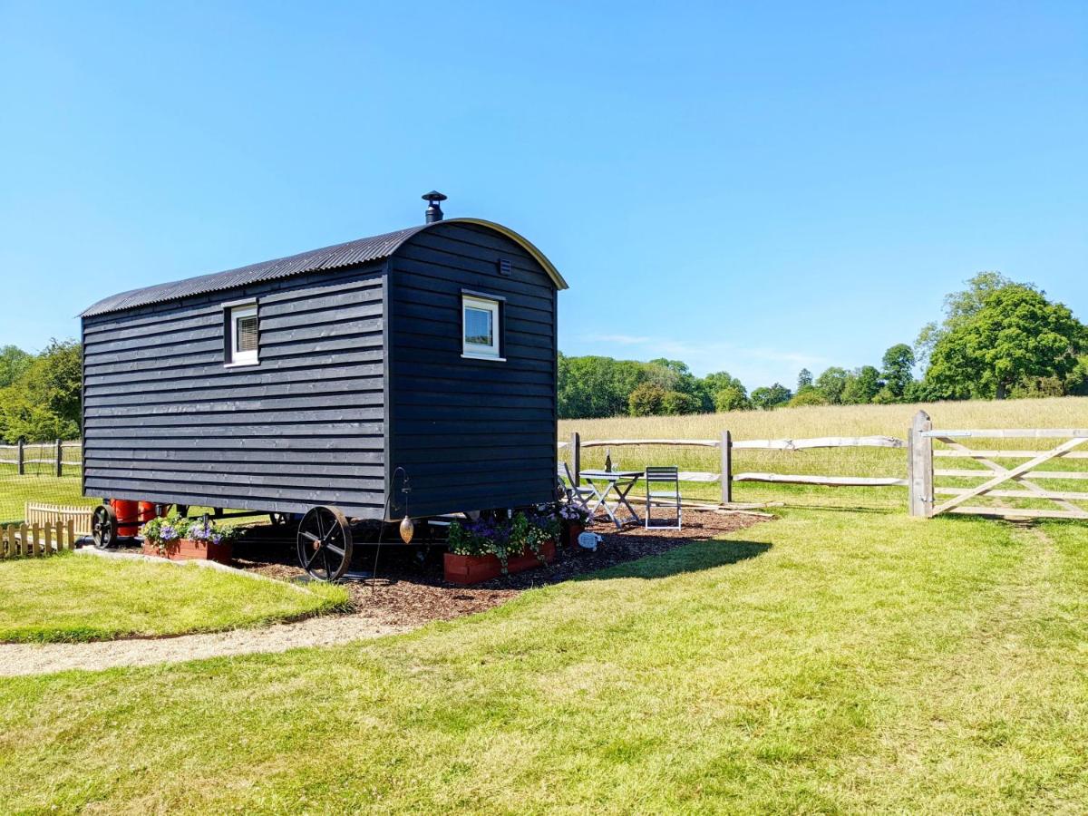 B&B Waterlooville - Crabden Shepherd Hut - Blendworth - Bed and Breakfast Waterlooville