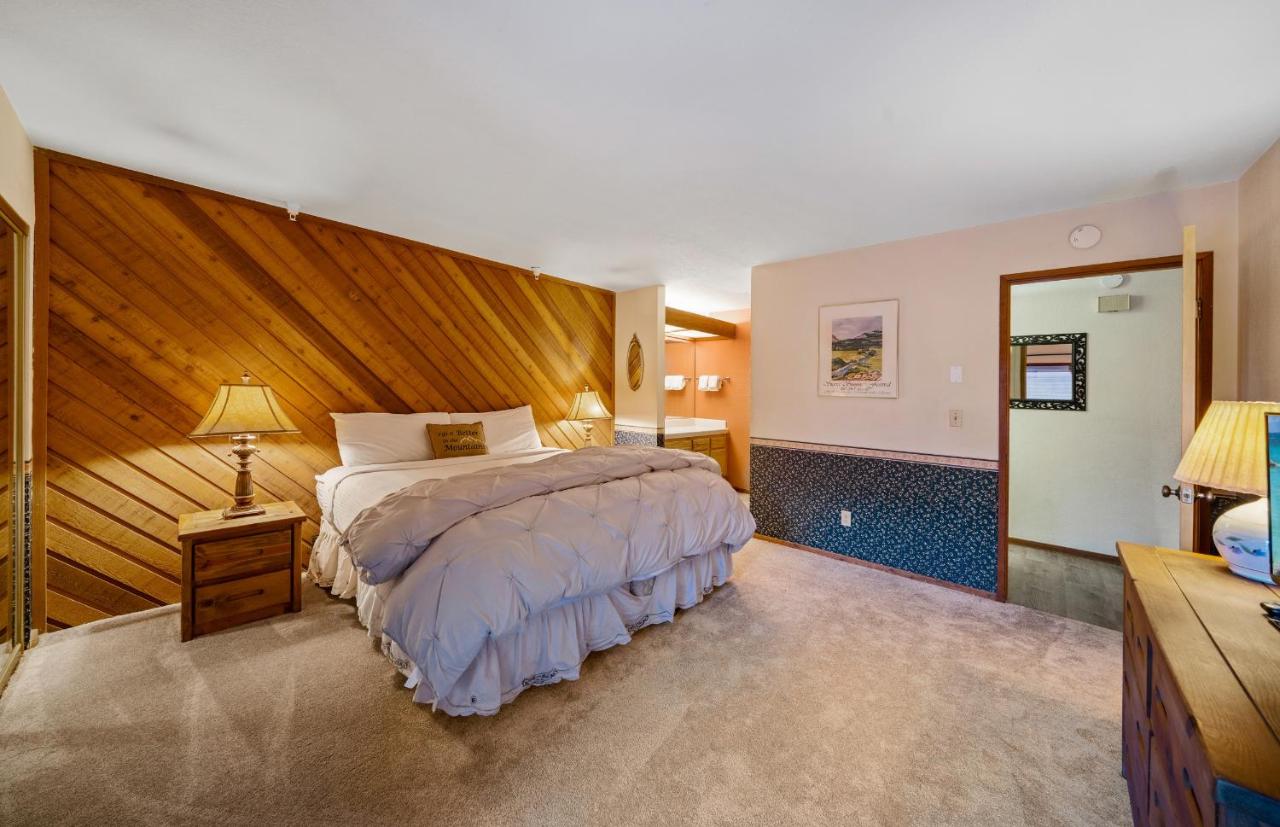 Basic One-Bedroom Apartment