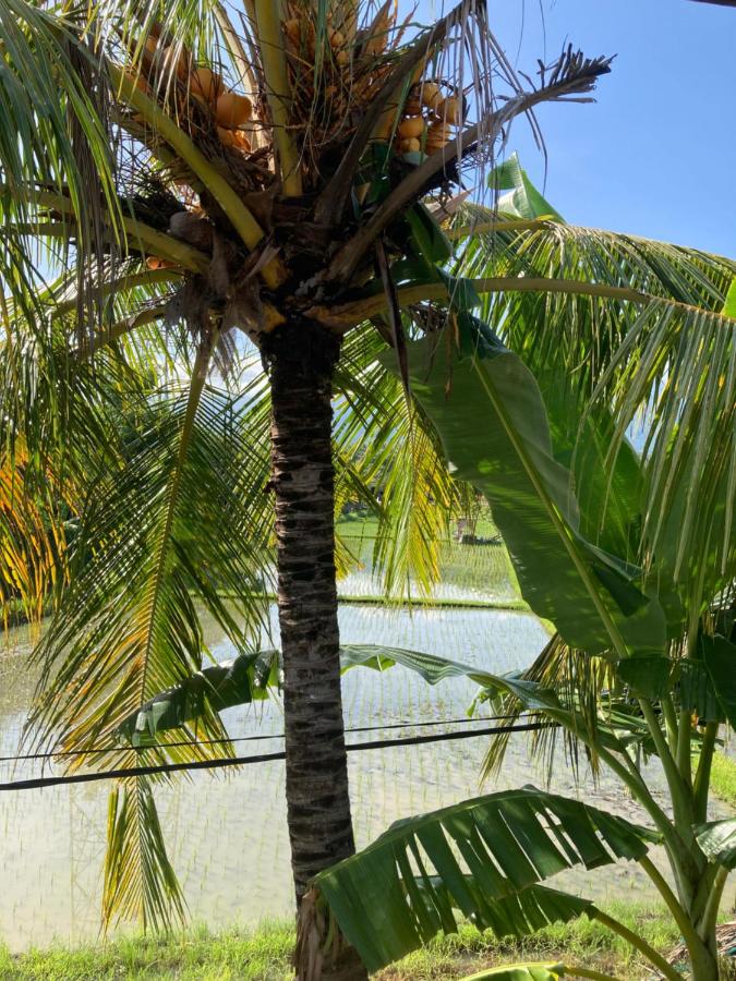 Standaard Tweepersoonskamer met 1 of 2 Bedden en Airconditioning