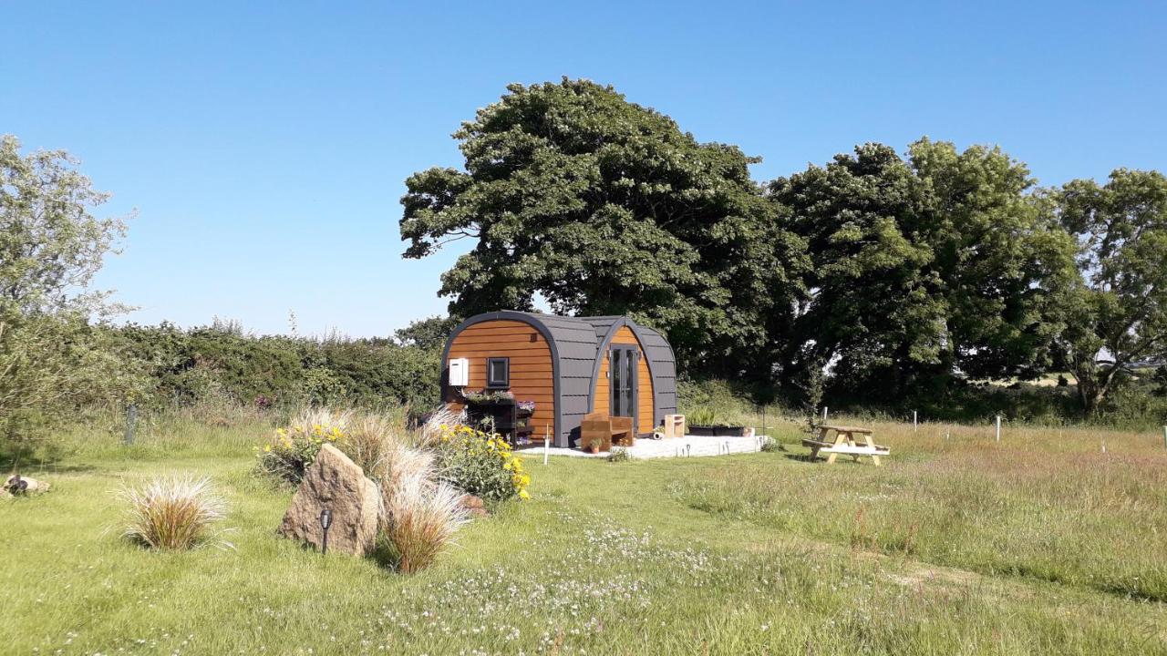 B&B Launceston - Hornbeam Luxury Eco Pod at Trewithen Farm Glamping - Bed and Breakfast Launceston