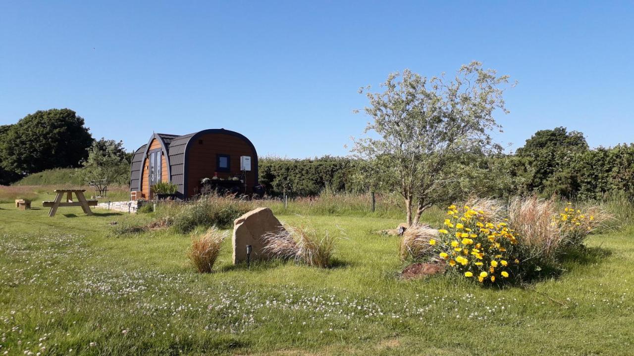 B&B Launceston - Rowan - Luxury Pod at Trewithen Farm Glamping - Bed and Breakfast Launceston