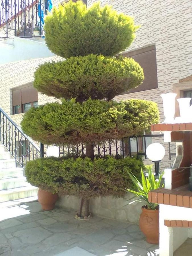 Villa Dina 1 - B&B