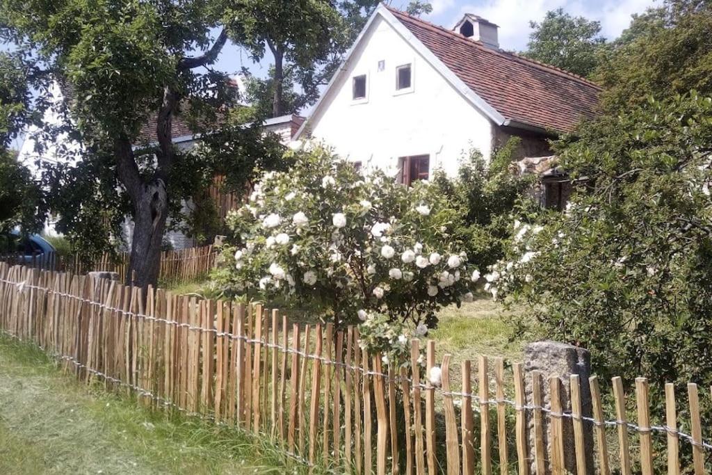 Útulný domek s malou zahrádkou - B&B