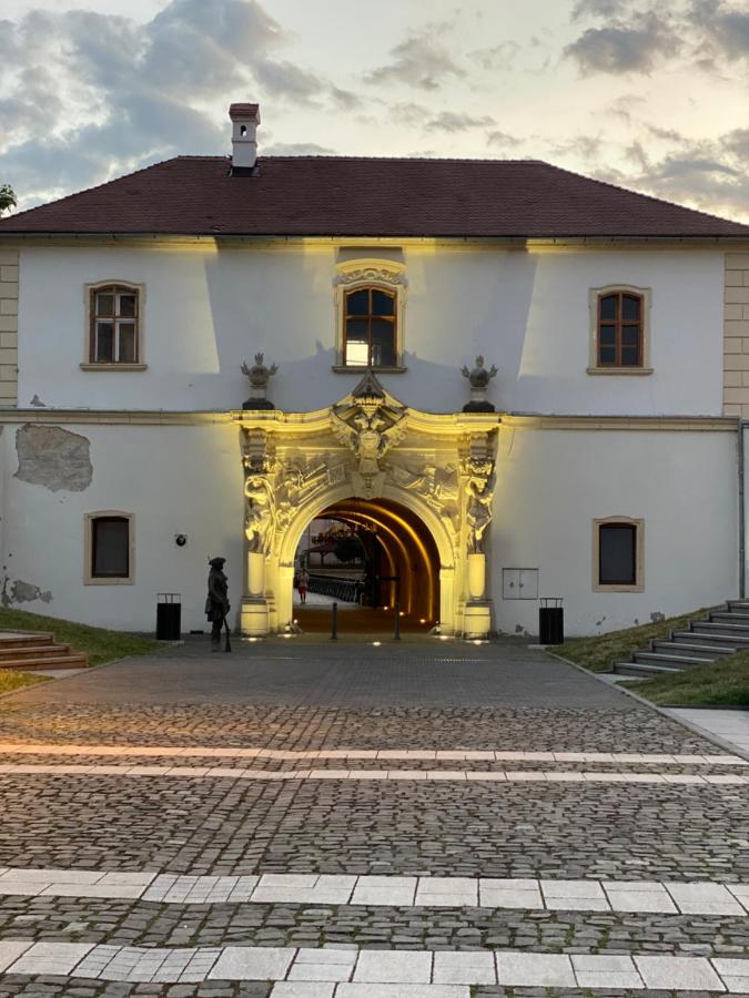 Studio - CLASSIC - - B&B Alba Iulia