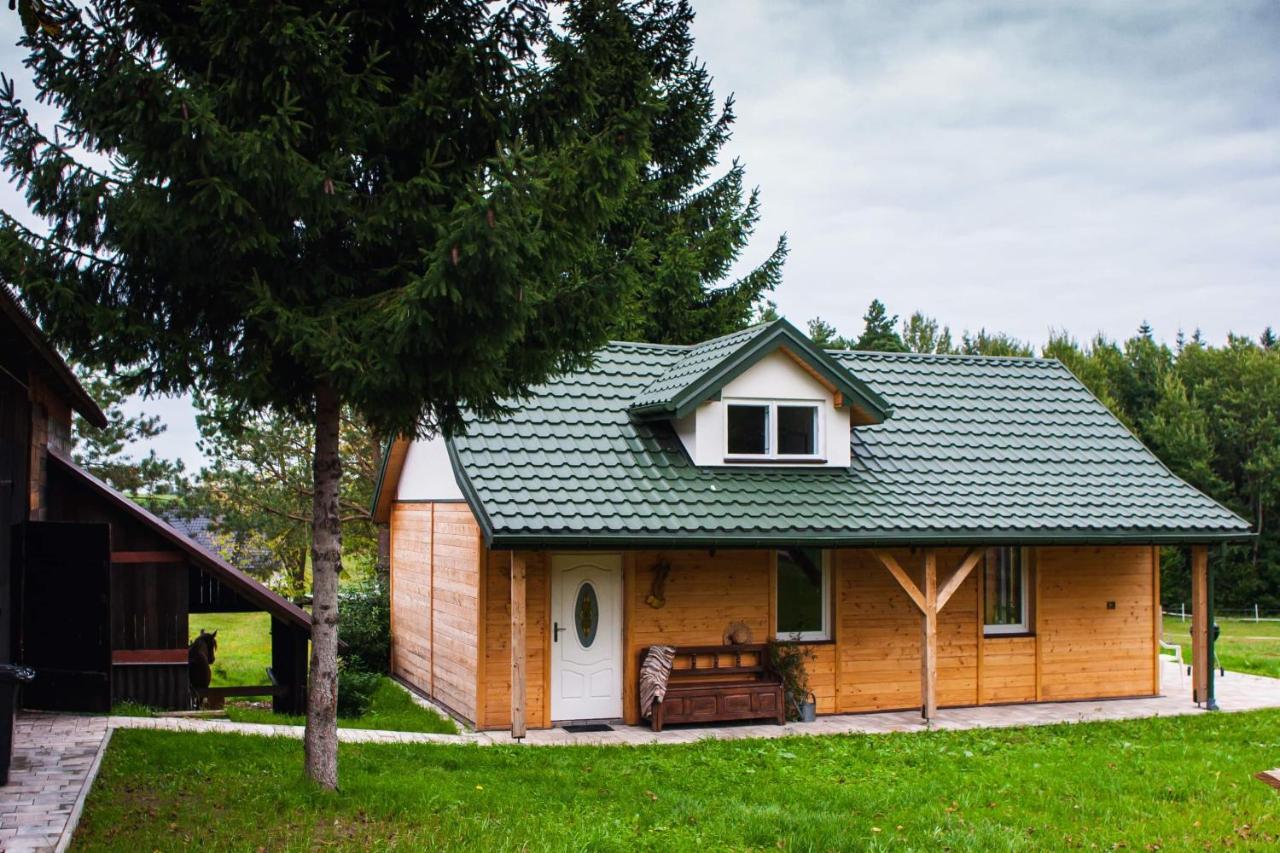 Urocze Gospodarstwo z Końmi Kominkiem i Stajnią MOLIKÓWKA - Ferienwohnung Grybów