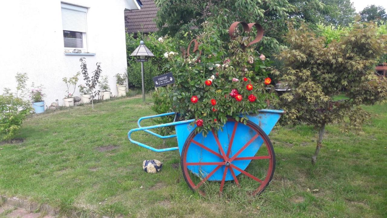 Ferienbungalow FeWo Eutin Süsel Sierksdorf Strand Ostsee - B&B