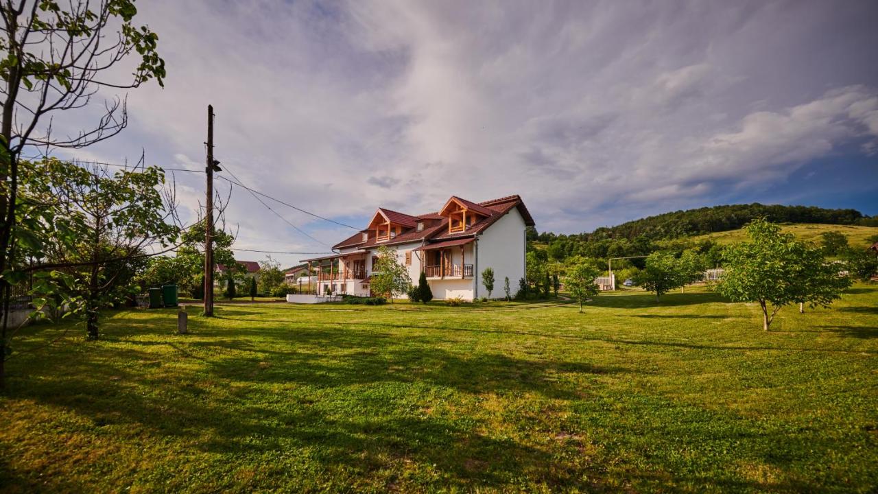 Vila Ţara Haţegului - Ferienwohnung Haţeg