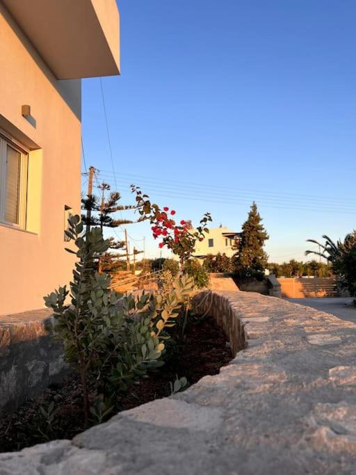 Theasis Apartments - B&B Adámas