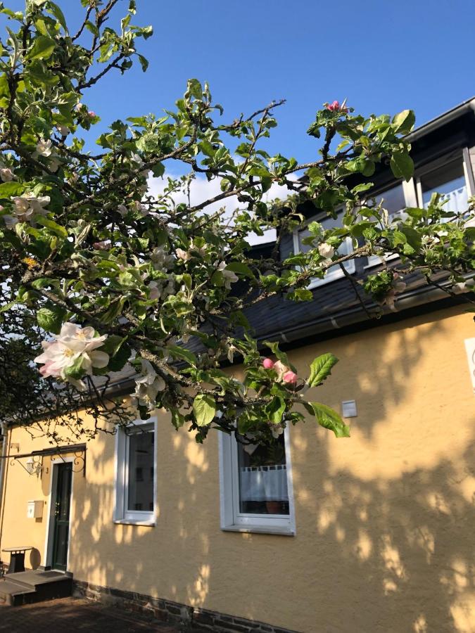 B&B Kastellaun - Am Apfelbaum, ein Ferienhaus zwischen Rhein und Mosel - Bed and Breakfast Kastellaun