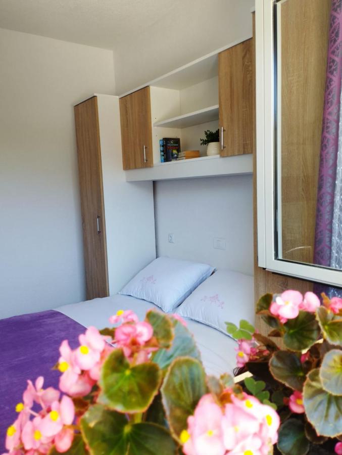 Apartment with Garden View