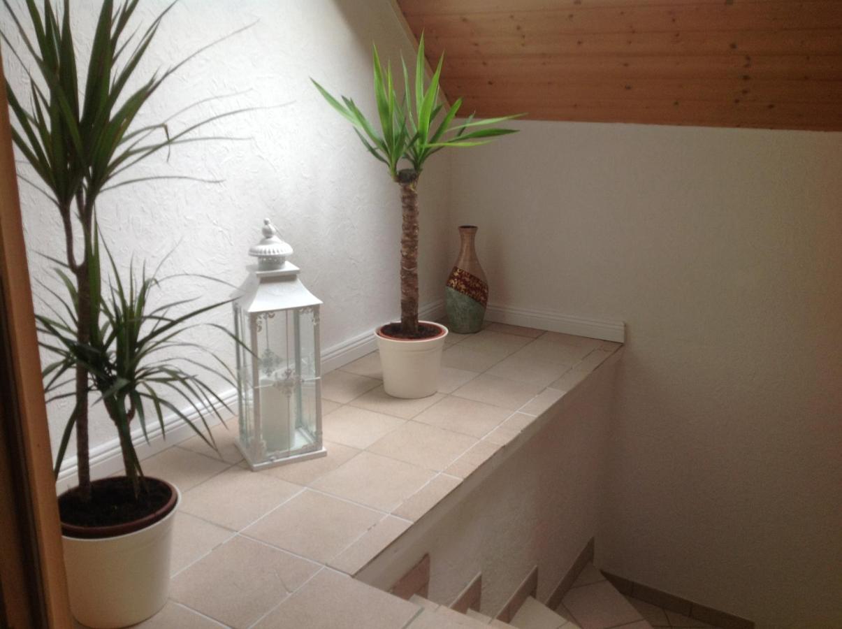 Ferienwohnungen Schäfer - B&B