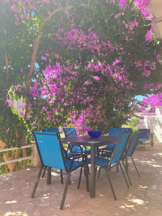 Vacation house Benedetto - B&B