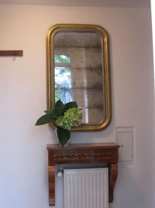 Suite (50 m² in size)