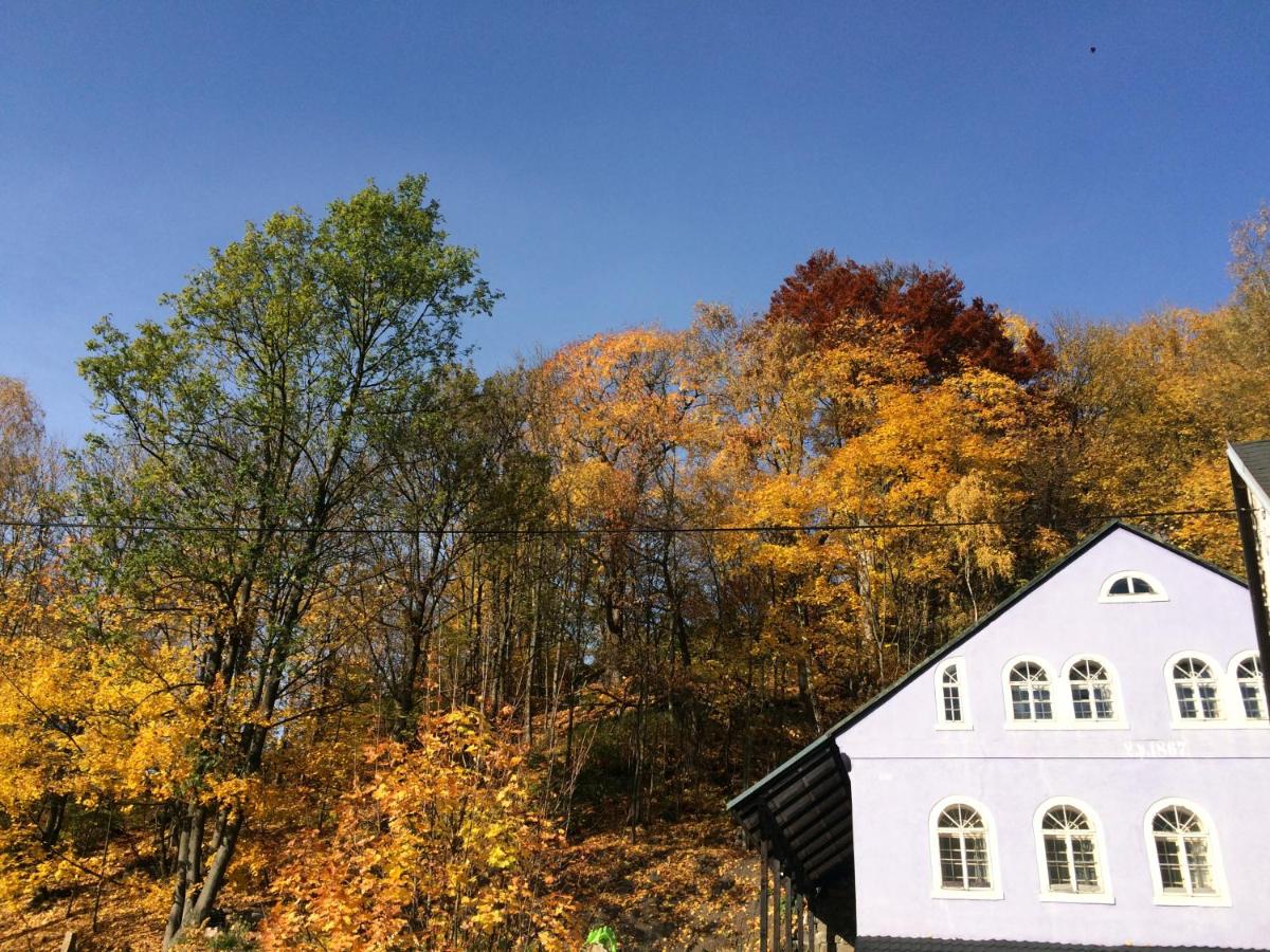 UBYTOVÁNÍ u BRABANTÍKA - B&B