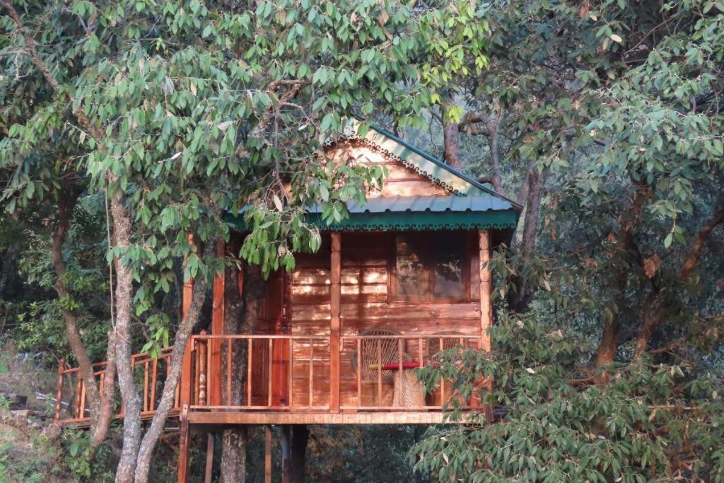 Odyssey Stays Mukteshwar - 300 Metres Trek - Bed and Breakfast