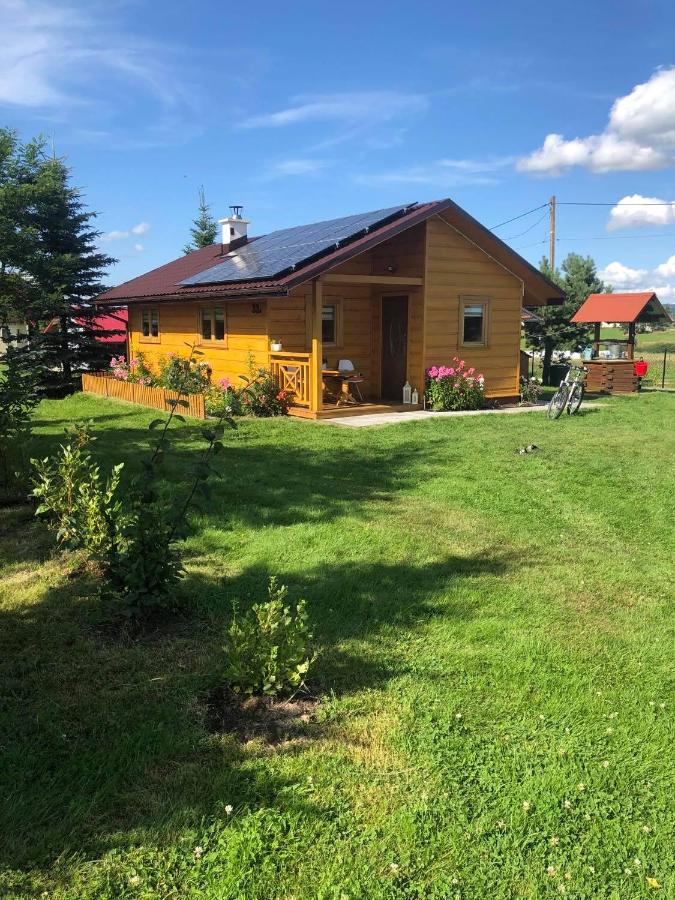 Domek na wyłączność z dużym ogrodem - Bed and Breakfast