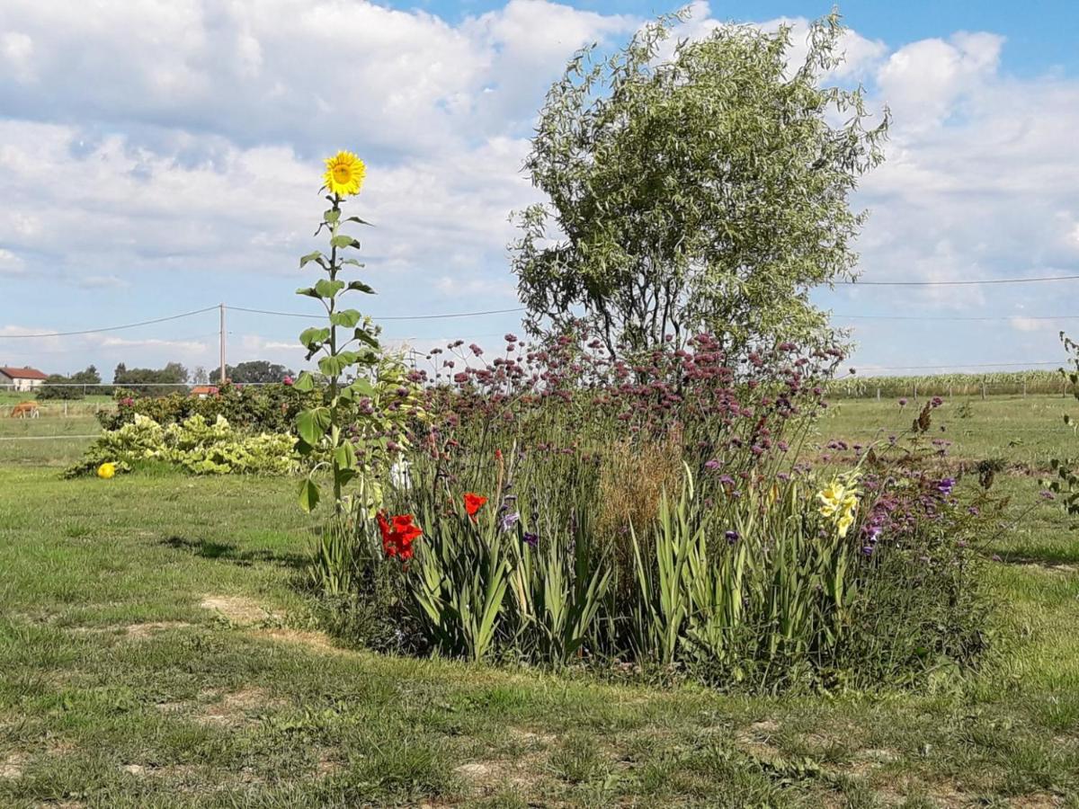 Gîte La Besse, Claudon - Ferienwohnung Claudon