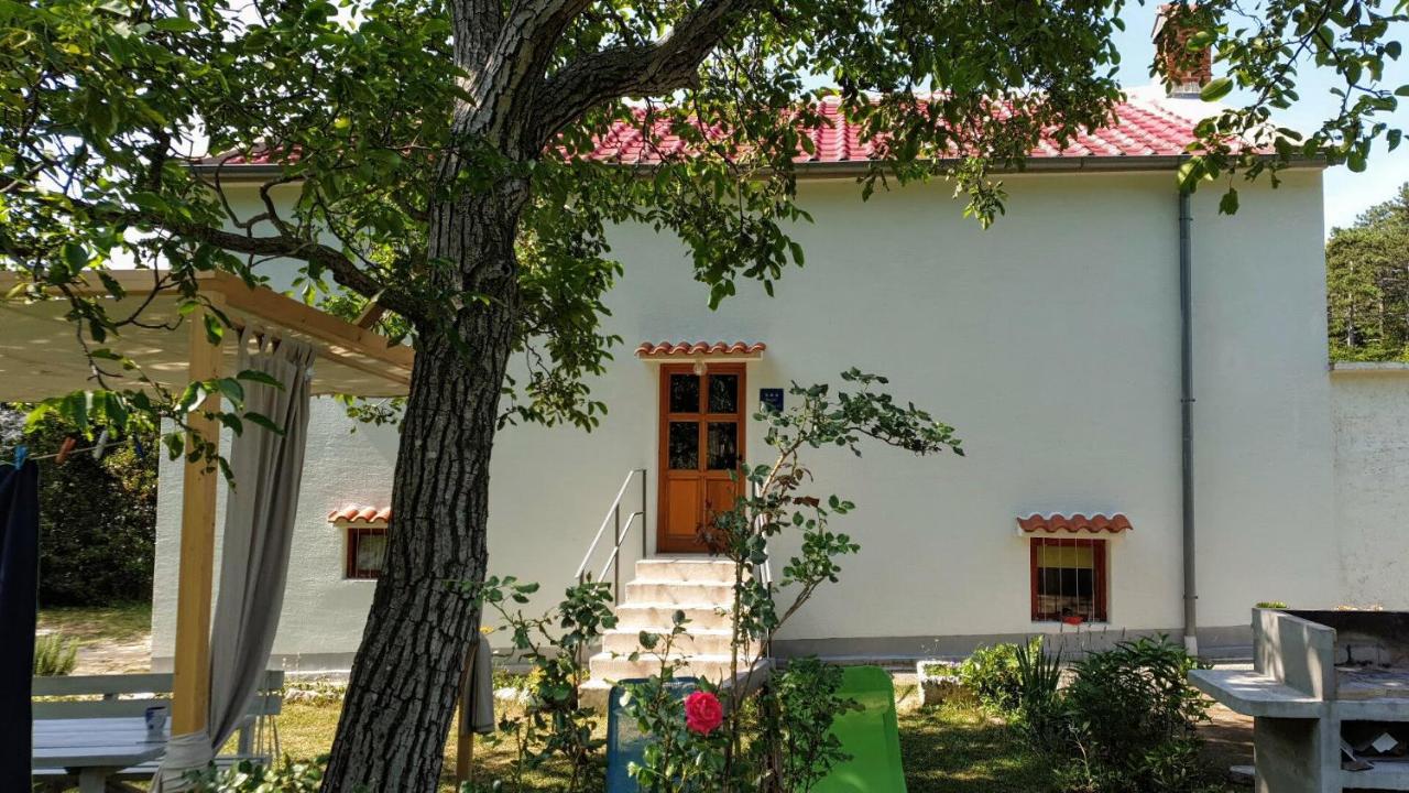 Flora - B&B Drivenik