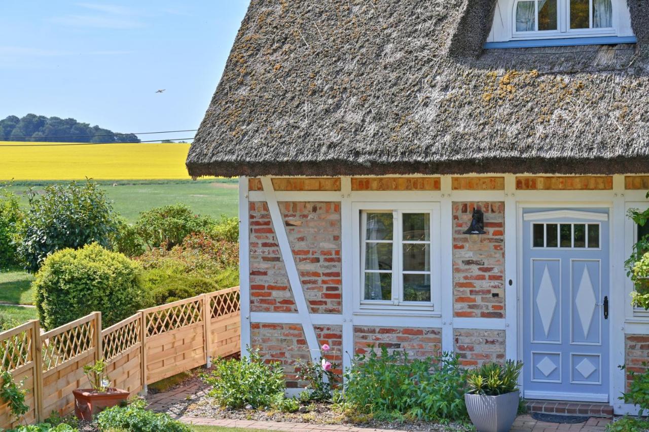 Landhaus Vilmnitz - Wohnung 2 - B&B