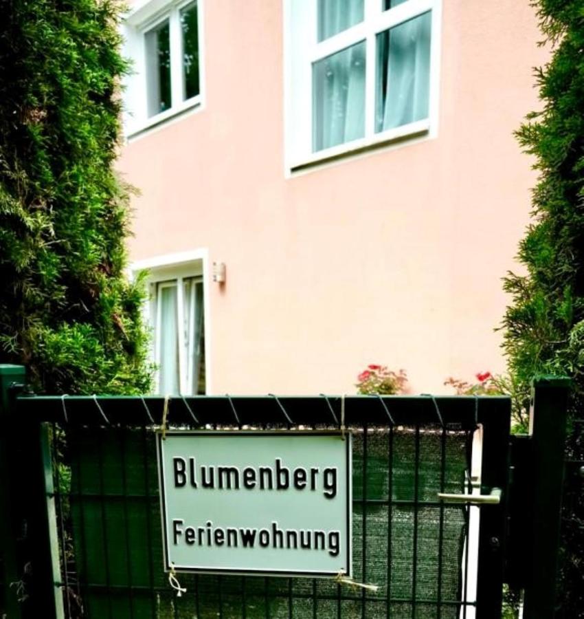 Blumenberg Ferienwohnung - Chambres d’hôtes