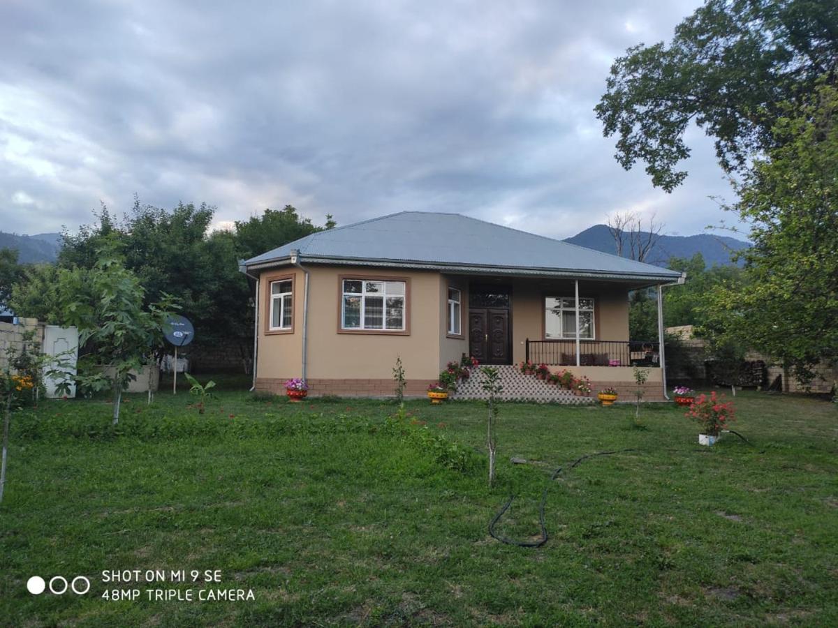 B&B Gabala - Villa in Qabala - Bed and Breakfast Gabala