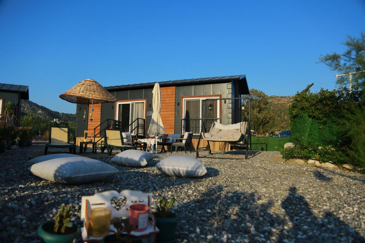 Tiny House Cactus söğüt - B&B Marmaris