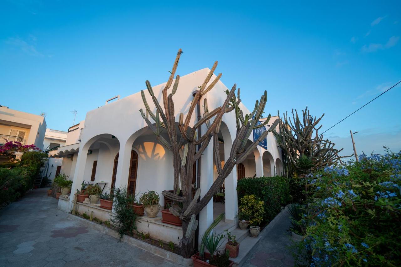 Dimora il Cereus - B&B San Foca