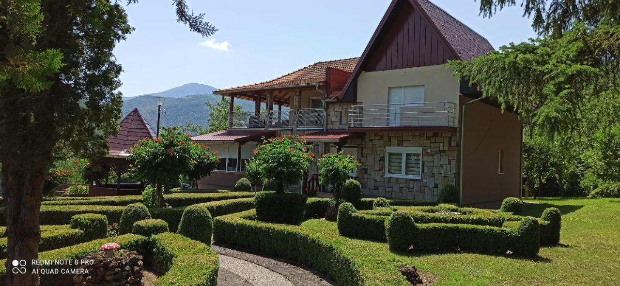 Guest House Vila Aleksa - Bed and Breakfast Bogutovac