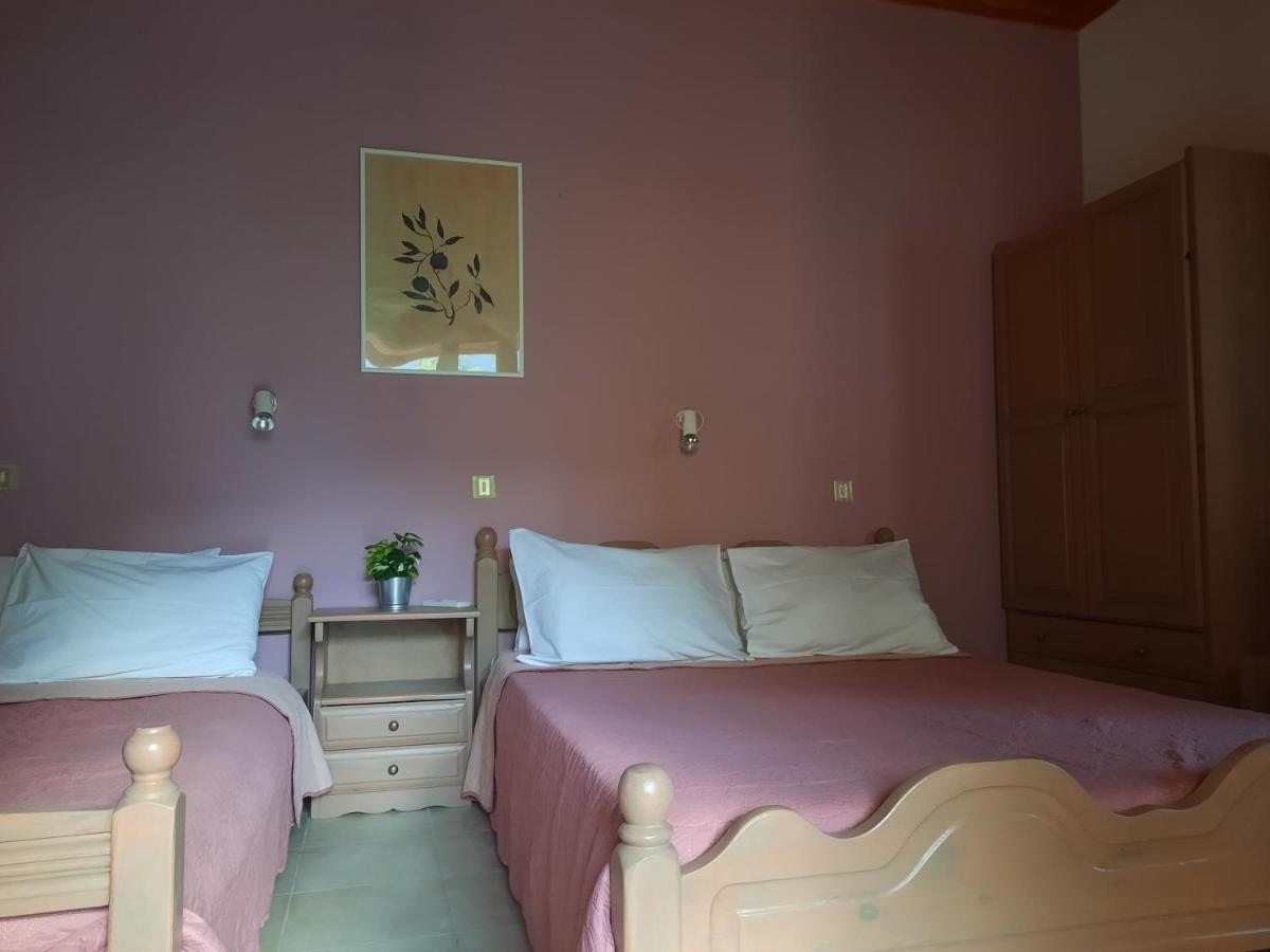 Appartement 1 Chambre