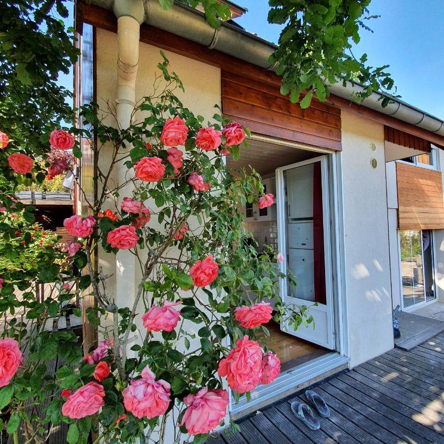 B&B Barr - Terrasses du Zimmerberg - Bed and Breakfast Barr