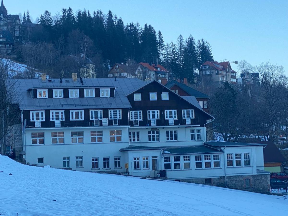 Kamilkowy Apartament - B&B