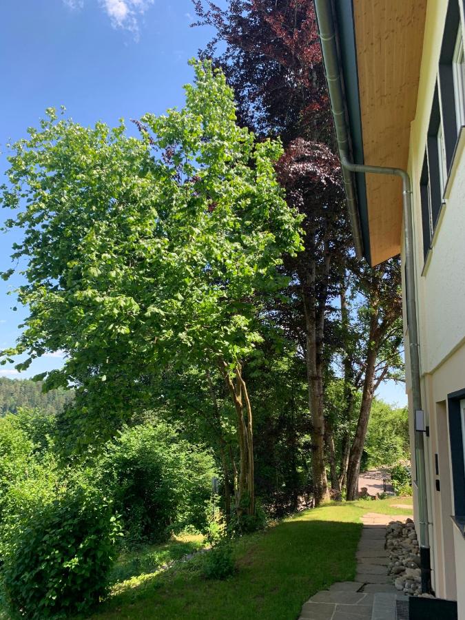 Moderne Wohnung im Grünen mit privatem Garten - B&B