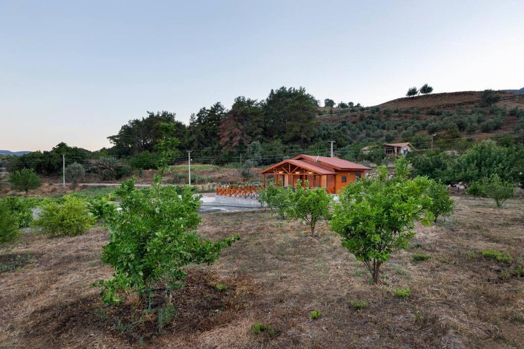 Villa Olymposgarden - Ferienwohnung