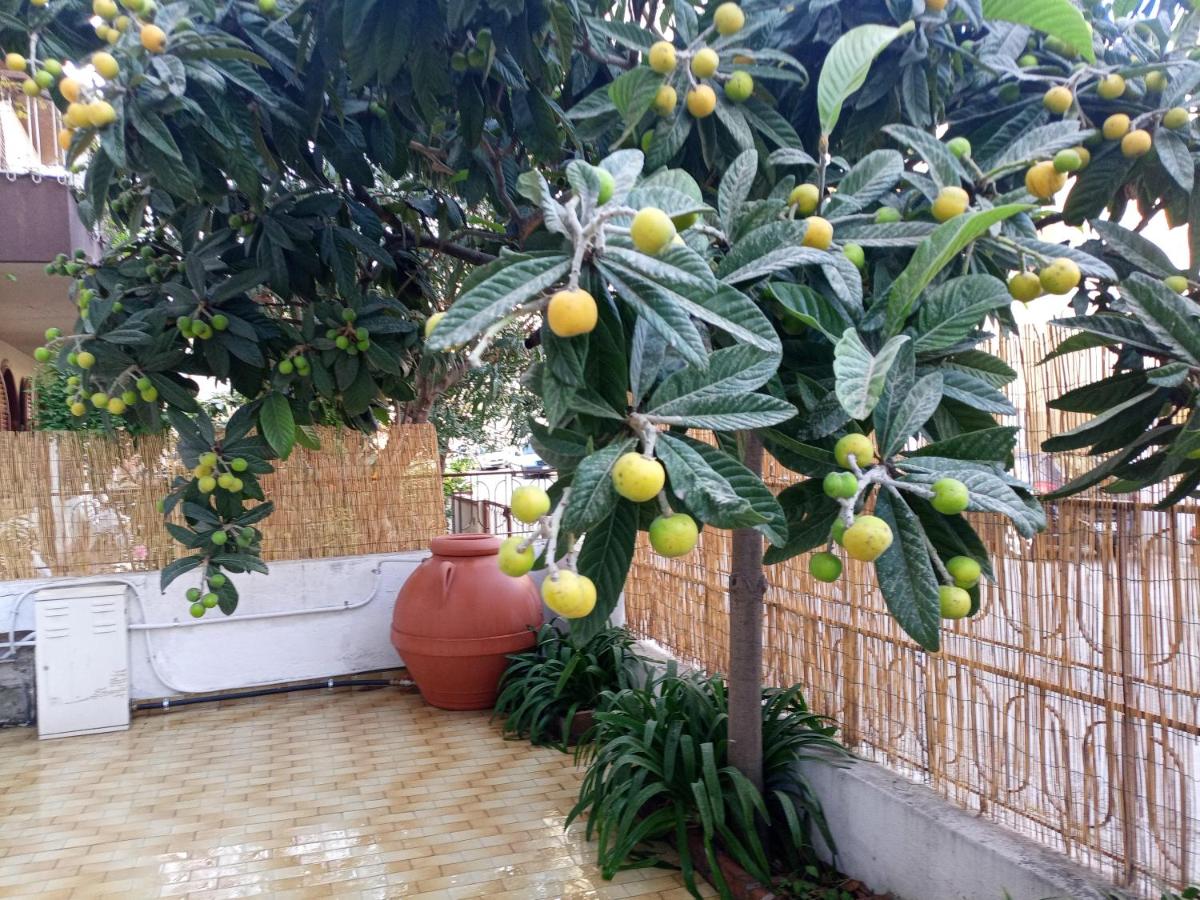 La casa di Anna - B&B