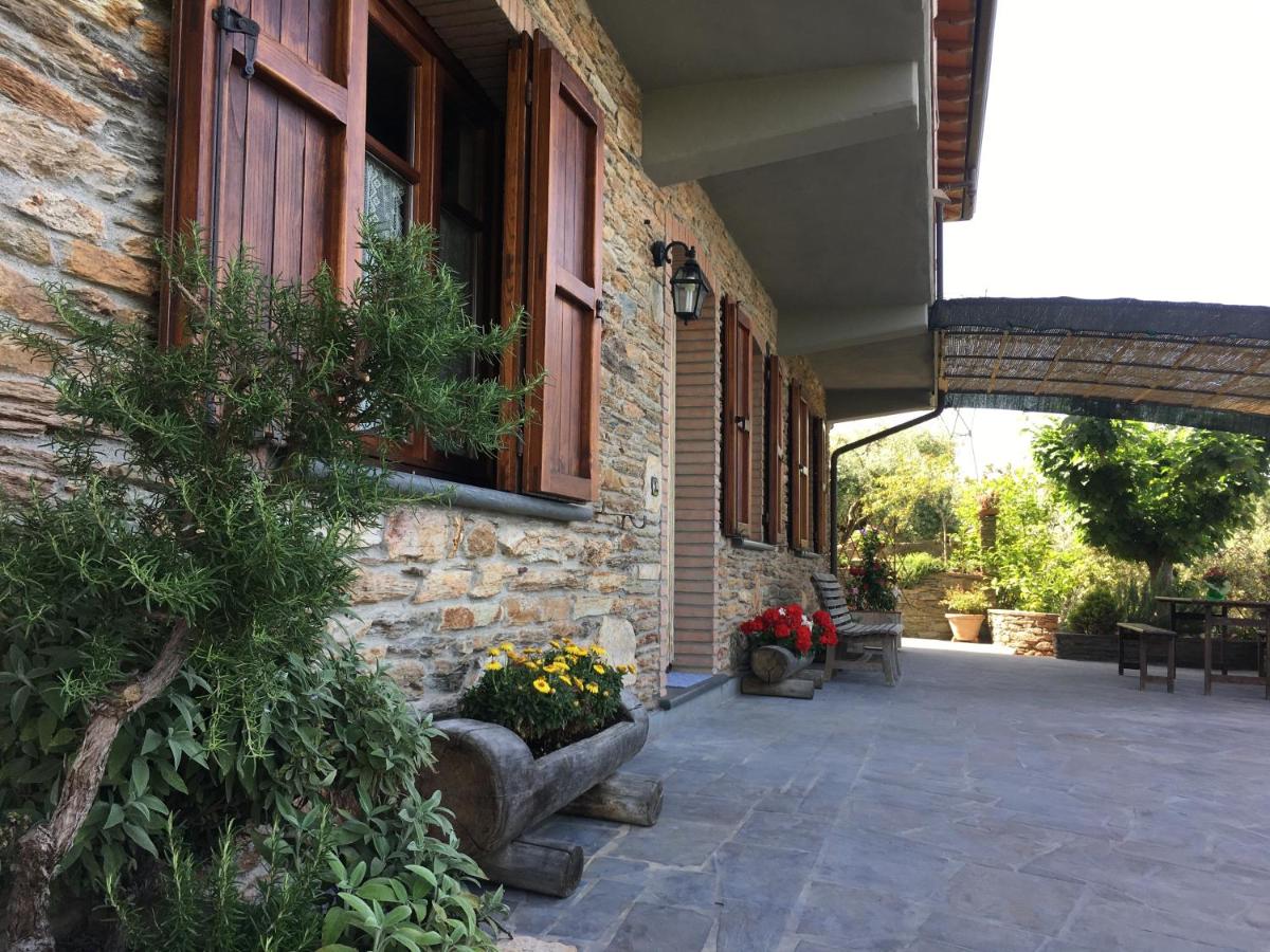 Gelsomini - B&B Massa