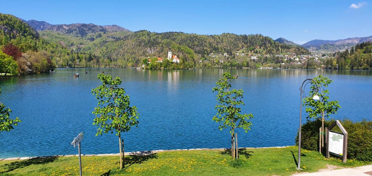 Apartma Panorama - B&B Bled