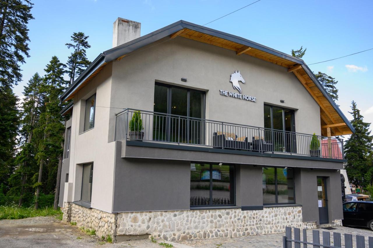 B&B Borovets - The White Horse Apartmens - Bed and Breakfast Borovets
