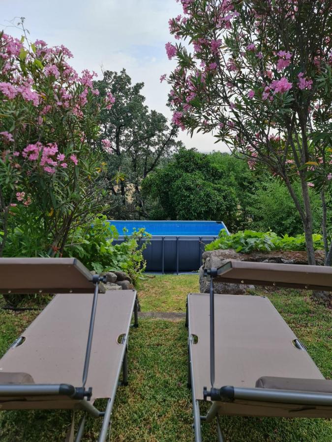 Casa Rural en Candeleda con piscina y un maravilloso jardín - Chambres d'hôtes Candeleda