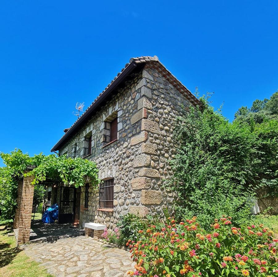 Casa Rural en Candeleda con piscina y un maravilloso jardín - Chambres d'hôtes Candeleda