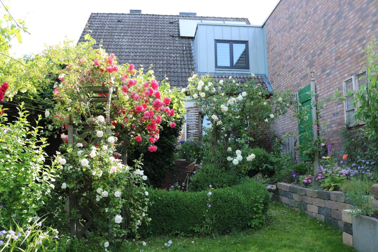 Im Schnuckenbau, Ferienhaus - Bed and Breakfast