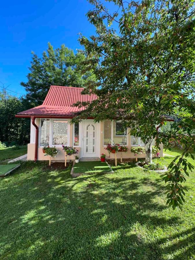 DION Kolašin - B&B