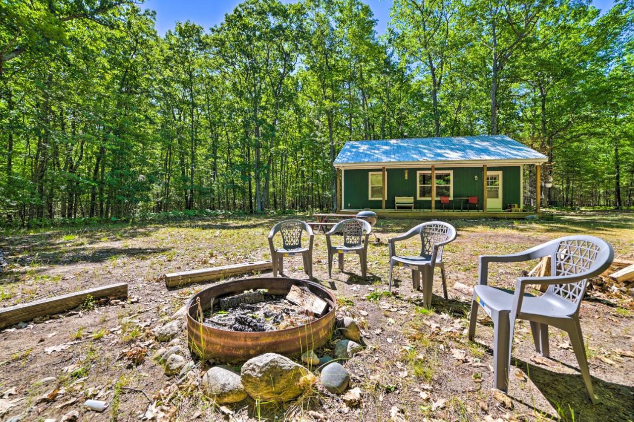 B&B Indian River - Secluded Indian River Retreat with Fire Pit! - Bed and Breakfast Indian River