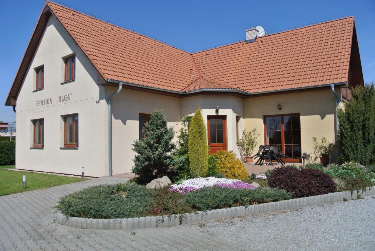 Pension Olga - B&B